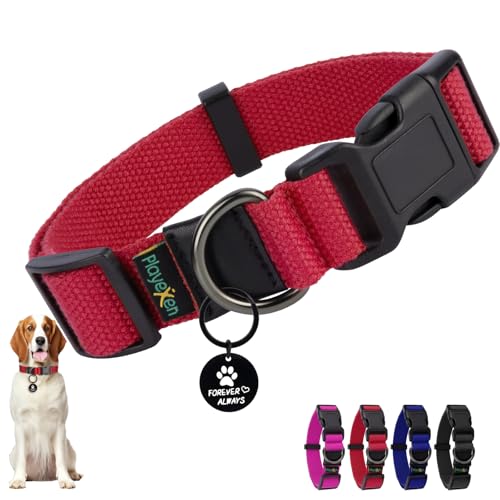 Collare Cane, Collare Regolabili in Morbido Cotone per Cani & Gatto Taglia Piccola Media Grande, Collari per Cane Personalizzato con Medaglietta Rimovibile, 40-60/2,5cm (L), Rosso