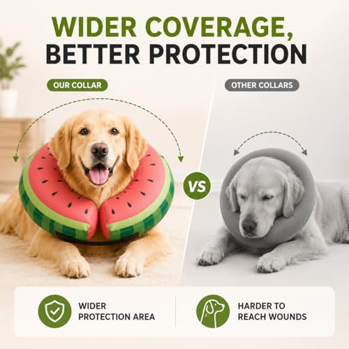 Image of MIDOG Inflatable Dog Cone After Surgery, Donut Collar for Large Dogs, L