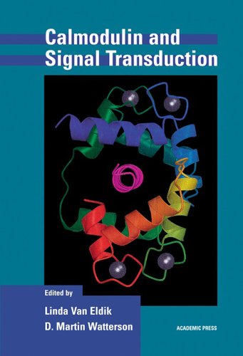 Calmodulin and Signal Transduction (English Edition)
