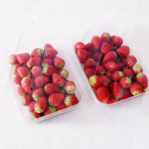 [訳あり]いちご 1kg [1月から発送開始](茨城県共通品:城里町産) いちご 苺 イチゴ 訳あり