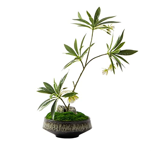 Fausses plantes sans entretien bonsai artificiel durable