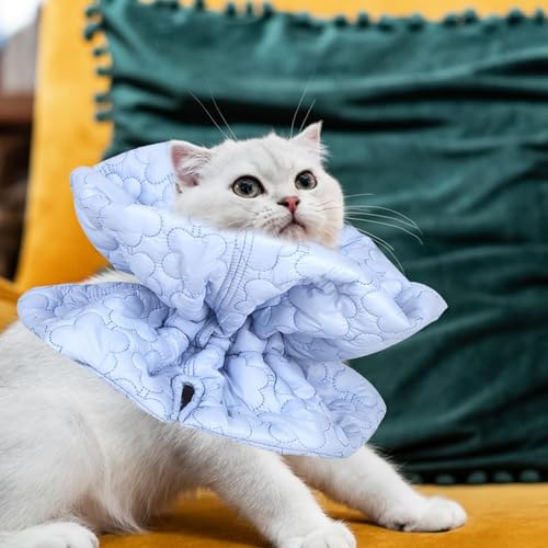 Coleira de cone para gato, coleira de recuperação de gato | Coleira de Recuperação Cone de Pescoço d