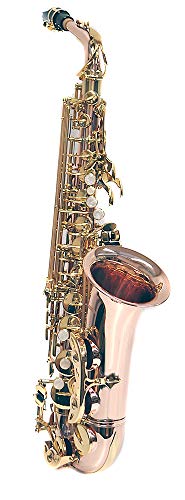 PLAYTECH (vCebN) AgTbNX PTAS350 AgTbNX [YuX