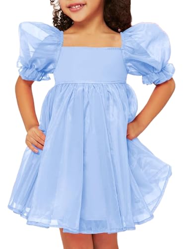 WDIRARA Toddler Girls Mesh Tulle Dress Square Neck Puff Short Sleeve Ruffle Hem Birthday Party Cute A Line Midi Dress Blue 6Y