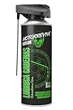 Motorrevive