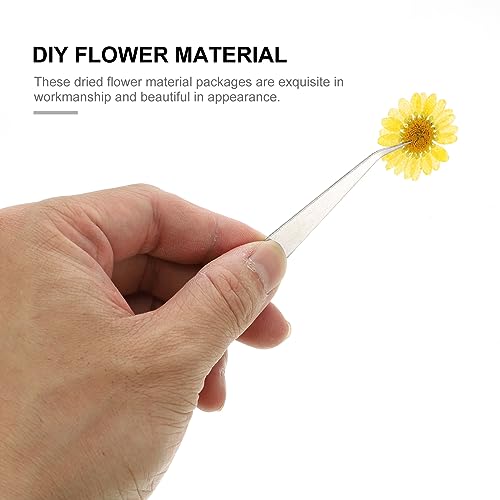 Anneome 60 Unidades Flores De Margaridas Secas Feitas à Mão Moldes De Vela Kit De Manicure Epóxi Flo