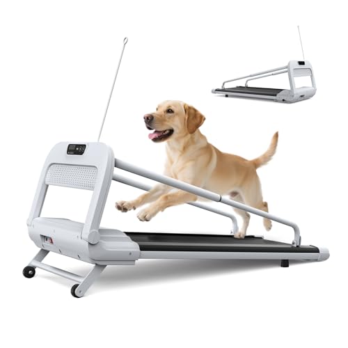Ternewby Dog Treadmill