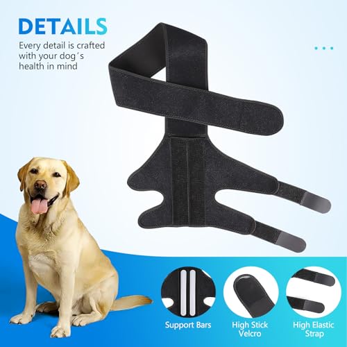 Black Dog Knee Brace for Hind Leg Adjustable Dog Leg Support Back Leg for Joint Pain Relief Arthritis Luxating Patella for Puppy with touthbrushes XS by BellyBloom - Used condition - Image 3