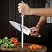 HOSHANHO Honing Rod,10 Inch Professional Kitchen Knife Sharpener Rod, Japanese High Carbon Knife Sharpening Steel with Ergonomic Pakkawood Handle, Ideal for All Chef Knives
