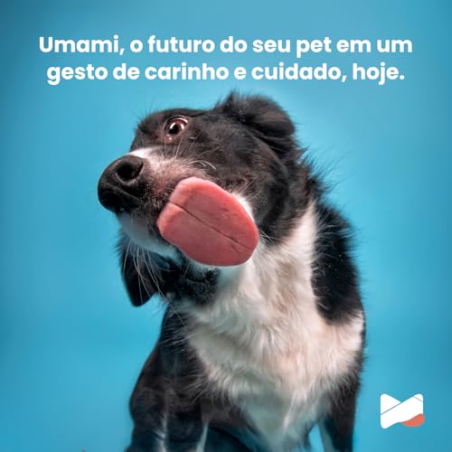Umami Suplemento Canino 16 em 1 – 240g | Sabor Carne Natural | Fortalece Articulações e Imunidade |