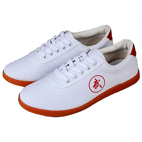 LMMZ Martial Arts Schuhe, Unisex Tai Chi Trainer Schuhe Erwachsene Kinder Kungfu Schuhe Non-Slip Atmungsaktiv,Weiß,46 Cover