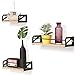FITUEYES Estantes de Pared Juego de 3 Baldas folatantes de Madera Decoración de Pared Color Roble FS302806WO