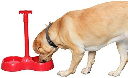 ARAD No More Bending Dual Pet Bowl – Perfect Food Station for Those with Limited Mobility - No More Bending or Kneeling When it’s Time…