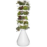 Lettuce Grow Farmstand