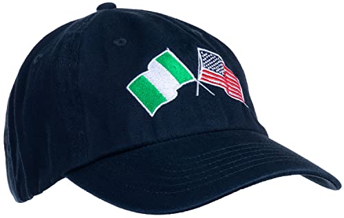 Image of Ann Arbor T-shirt Co. American Friendship Nations Flag Baseball Low Profile Dad Hat for Men Women