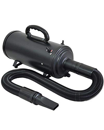 Gravitis Föhn für Hunde und Katzen, 4,2 PS, Schwarz