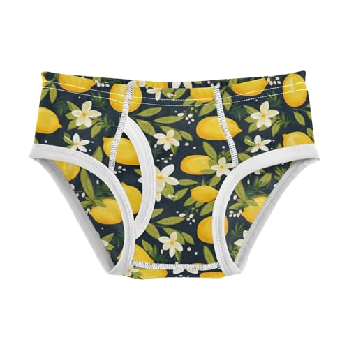 Boys' Exclusive Briefs Toddler Underwear 95% Combed Cotton Boxerbriefs 2T Lemon and Flower Pattern 72