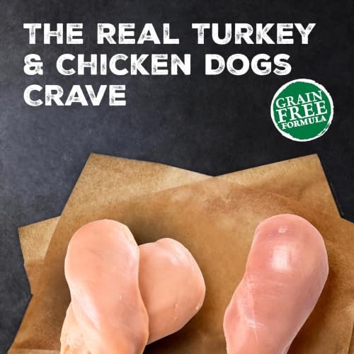 Blue Buffalo Wilderness Turkey & Chicken Senior Wet Dog Food, 12.5 oz, 12pk | 28g Protein, Real Turkey #1 Ingredient, Grain-Free & High Protein, Supports Joint Health & Muscle Maintenance - image 2