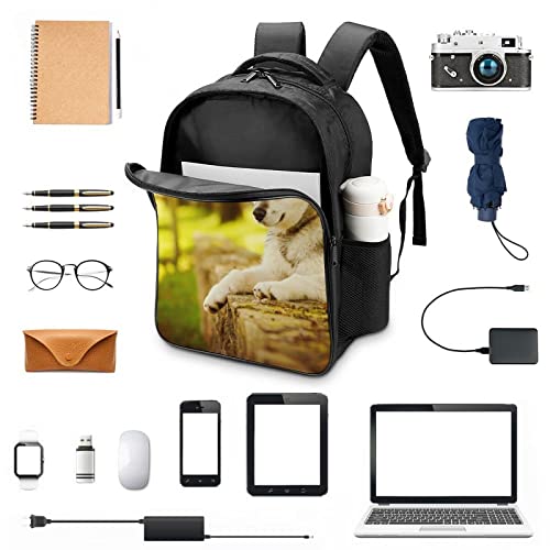 Mochila de moda para el colegio y excursiones con estampado husky 3D 3