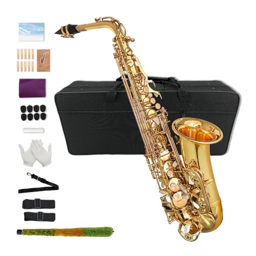 Yinfente Eb Alto Saxophone For Beginners Adult,Saxophone Student,E Flat Alto Sax Full Kit With...