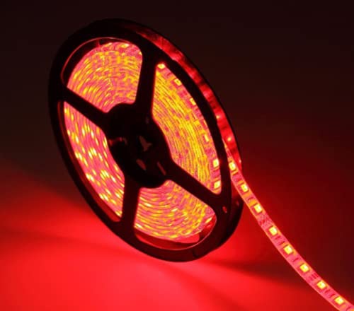 Kit Smart Fita LED Ekaza T113, Branco, 5 metros