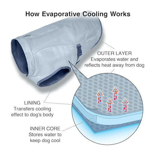 Kurgo Core Cooling – Kühlweste für Hunde, Haustier-Kühlmantel mit reflektierendem Material – L