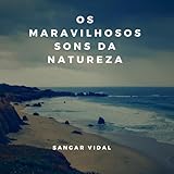Sangar Vidal Music