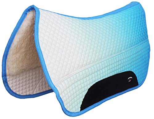 CHALLENGER Horse Western 27