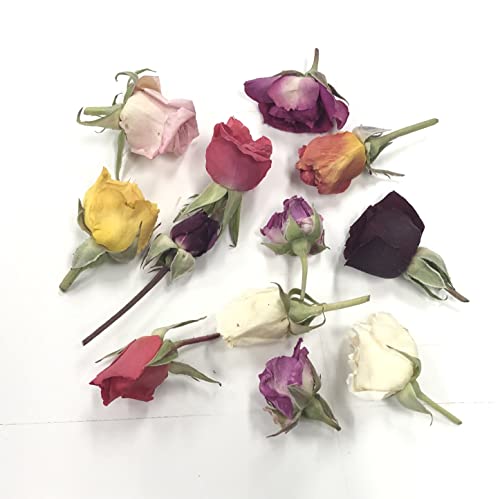 Knots de capullos de rosa assorted, 24 pcs, biodegradables miniatura 2