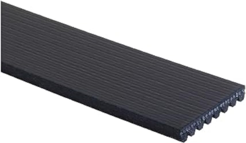 Cinturón