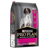 Purina Pro Plan Adult Dry Dog Food Medium and Large Breeds Salmon and Mackerel 12kg