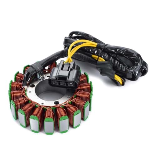 Bobine de stator de moto résout problème de batterie sur Max 800 R