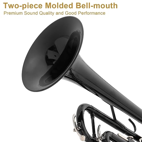 image for Ktaxon Bb Standard Trumpet for Beginners,Trumpet for Student with Hard