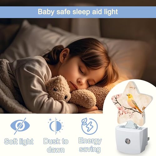 Image of Bird Vintage Nightlight,Pink Cherry Blossoms Star Night Lights Plug into Wall Decorations for Bedroom Bathroom,Dusk to Dawn Sensor Kitchen Hallway Stairs Energy Efficient Desk Lamp