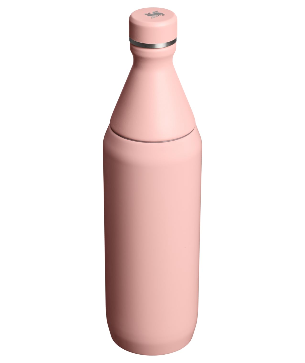 Amazon.com : Stanley All Day Slim Bottle 20 oz | Twist On Lid with