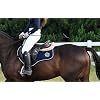 T TEKE 44 Twinkle Training Whips, Schooling Whip/Dressage Whip, Golf Handle, Reflex Shaft, and Integrated Popper