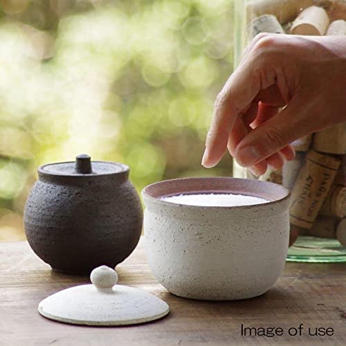 へちもん 信楽焼 さらさら塩壺 大 5枚目