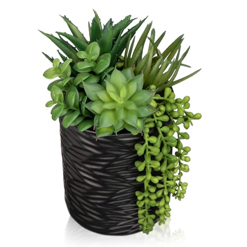 Hollyone Artificial Succulents in Pots Faux Succulents Plants Fake Succulent