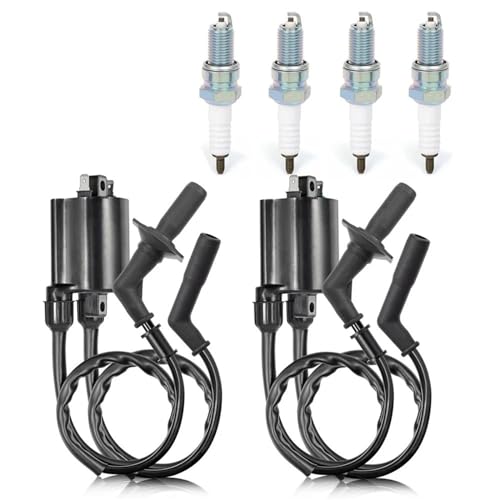Bobine d'allumage pour VT1100 Shadow et Sabre de 1987 à 2007