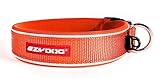 EzyDog Neo Dog Collar, Medium, Orange
