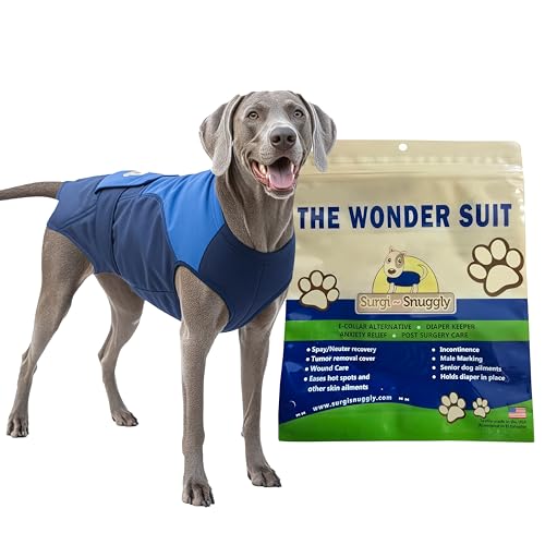 How long before you can neuter a dog