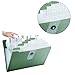 STDEV 12 Pocket Expandable File Folder Accordion Folder Hold 360 Sheet Paper Expanding Document Wallets for Office Home Storage, Field Green