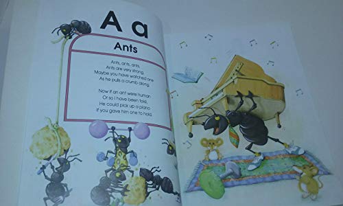 Animal Alphabet 1858548942 Book Cover