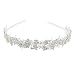 Polytree Women's Fashion Crystal Rhinestone Flower Leaf Tiara Hair Band Headband