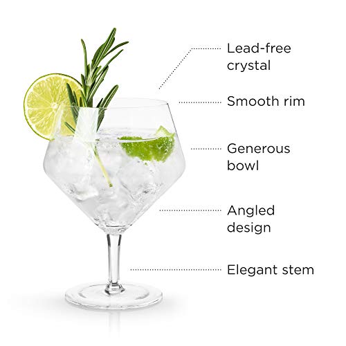 Viski Raye Angled Stemmed Gin And Tonic Glasses Set Of 2 - Premium Crystal Clear Cocktail Gin Glasses For Gin Lovers Gift Set - 14Oz #TOP2
