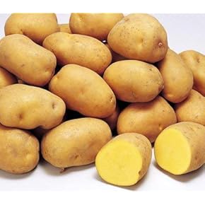 じゃがいも - Amazon.co.jp