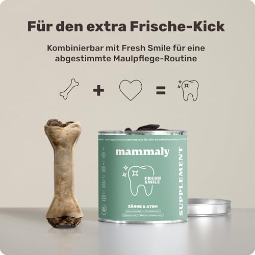 4-in-1 Zahnpflege-Kauknochen - Fresh Bone+ 1x Kauartikel (12cm) von mammaly - Kaustange aus Rinderhaut mit Salbei, Minze & Grüner Tee u.v.m. zur Mundhygiene - Kauspielzeug / -Knochen gegen Mundgeruch