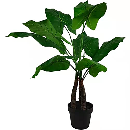 Best Fake Elephant Ear Plant