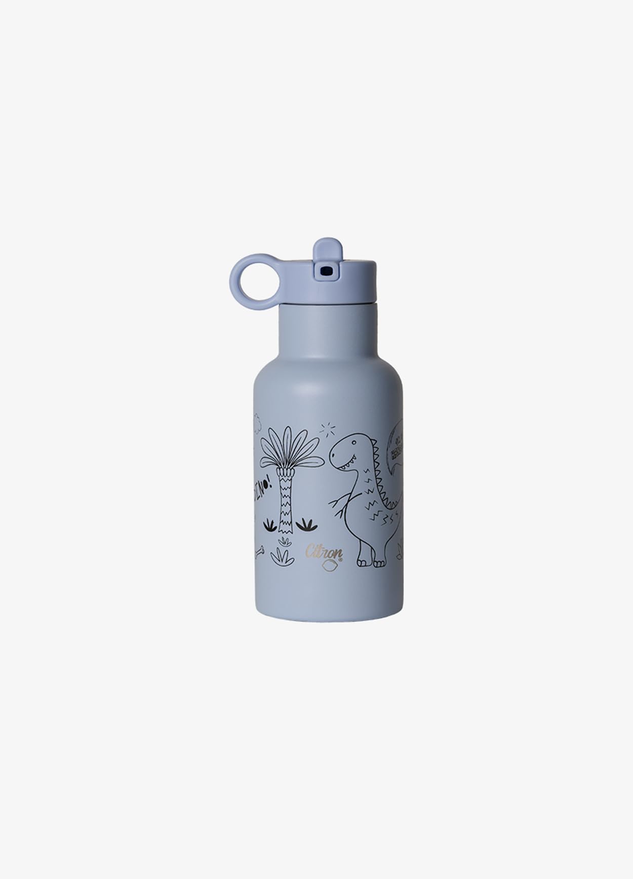 Stainless Steel 350ml Water Bottle loved by kids, Dino Print, Sturdy & Seamless, A Favorite for School Days & Adventures