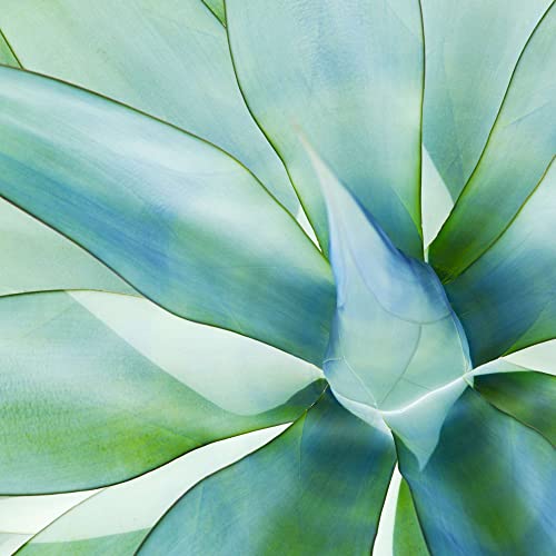 Inspired Fancy Cuisines